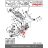 Hátsó csonkállvány szilent