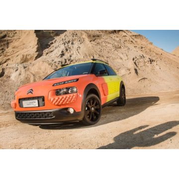 C4 Cactus