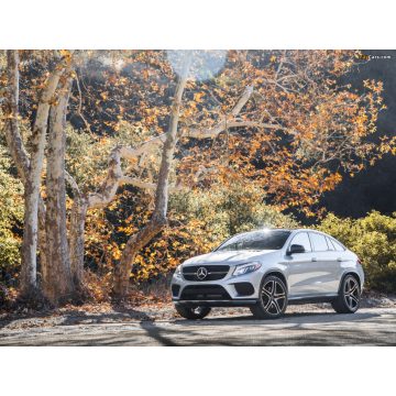 GLE-osztály (W166 / C292)