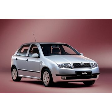 Fabia (6Y)